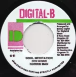 Movie Star Riddim (1998) – Digital B