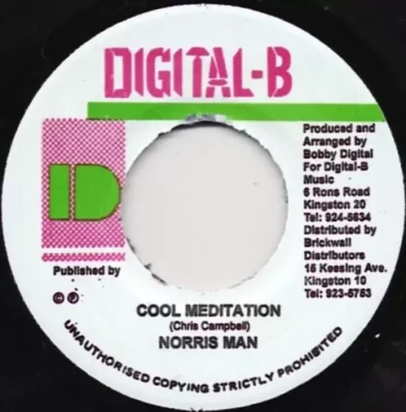 movie star riddim - digital b