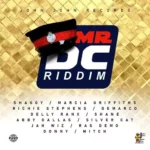 Mr Dc Riddim (2020) – John John Records