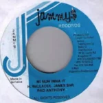 Mr Dc Riddim (2005) – Jammys Records