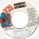 Mr. Politician Riddim – Cylton Records