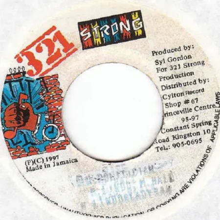 Mr. Politician Riddim – Cylton Records mr. politician riddim - cylton records