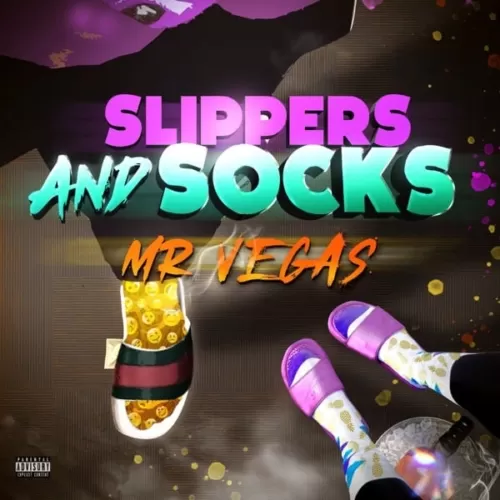 mr. vegas - slippers and socks