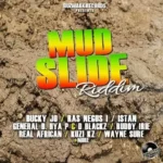 Mud Slide Riddim (2020) – Buzwakk Records