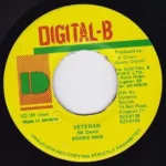 Mud Up Riddim (1994) – Digital B