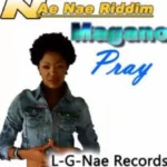 Nae Nae Riddim (2012) – L-G-Nae Records