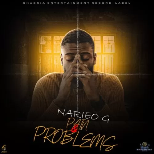 narieo g - pain and problems