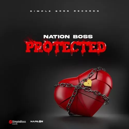 nation boss - protected
