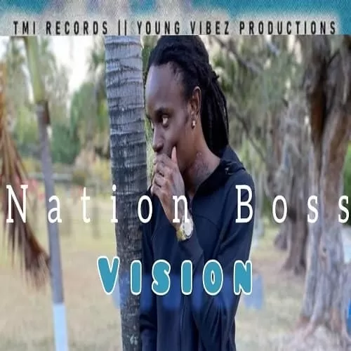 nation boss - vision
