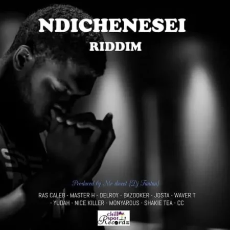 ndichenesei riddim - chillspot records