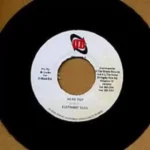 Night Creature Riddim (2007) – Di Block Records