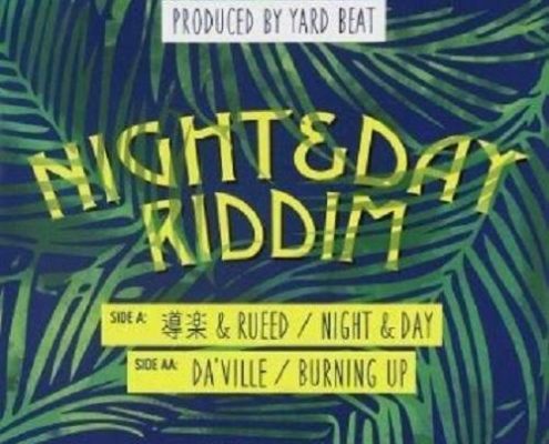 Night Day Riddim