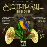 Night IN Gale Riddim – Train Line Records