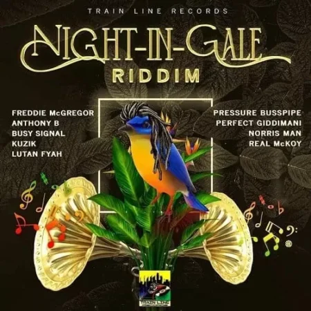 night in gale riddim - train line records
