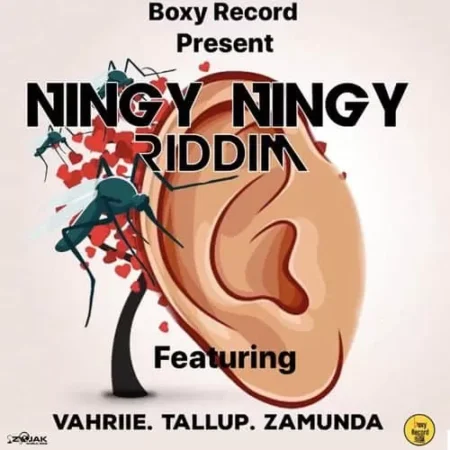 ningy ningy riddim – box lunch production