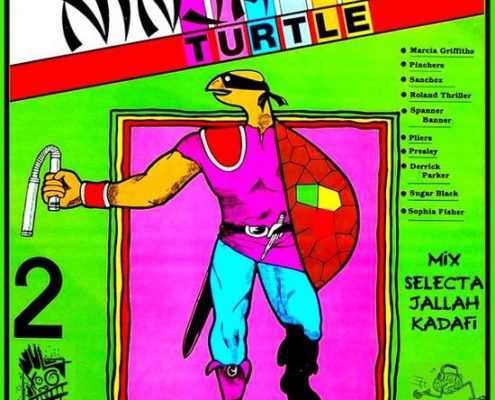 Ninja Turtle Riddim