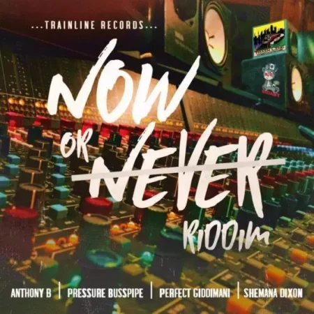 Now Or Never Riddim - Trainline Records