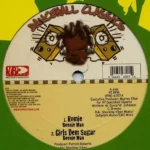 Nowdays Riddim – Vp Records