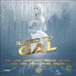 Nuh Used To Gal Riddim – 7 Gate Records