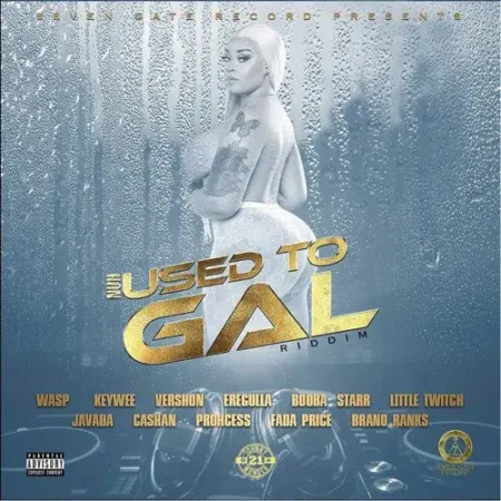 nuh used to gal riddim - seven gate records