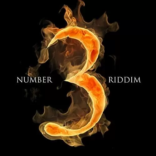 number 3 riddim - in the streetz records