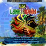 One Lynk Riddim – Don Milla Records