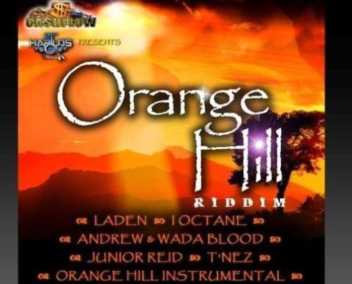 Orange Hill Riddim 2010