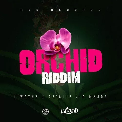 orchid riddim - h2o records