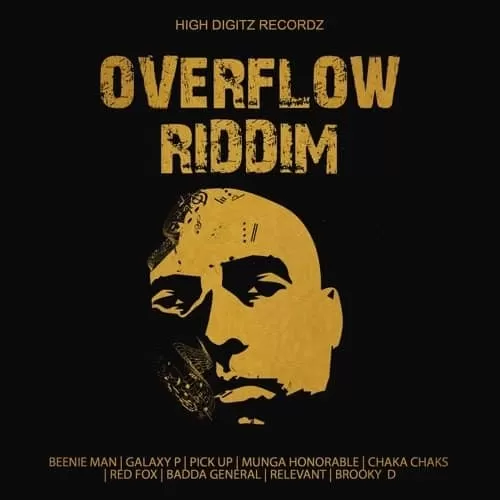 overflow riddim - high digitz recordz