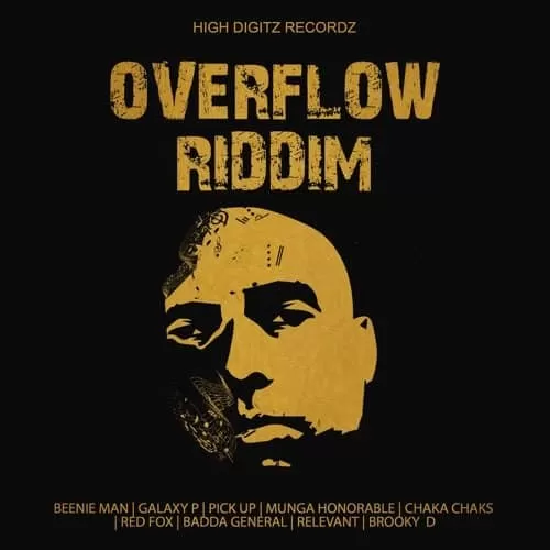 Overflow Riddim – High Digitz Recordz overflow riddim - high digitz recordz