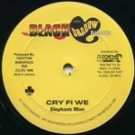 Paid In Full Riddim – Black Shadow Records