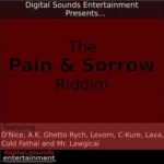 Pain And Sorrow Riddim – Digital Sounds Entertainment