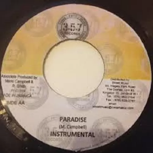 paradise riddim - 357 records