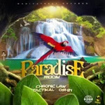 Paradise Riddim – Magic Street Records
