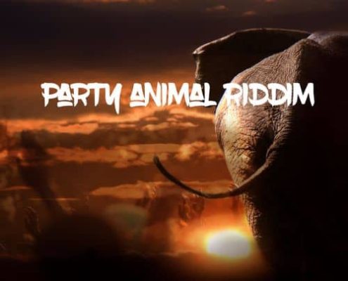 Party Animal Riddim