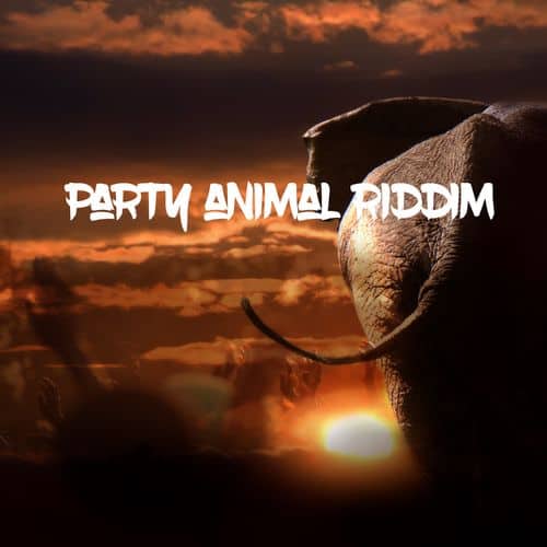 party animal riddim - district records