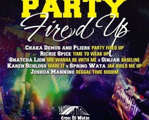 Party Fired Up Riddim