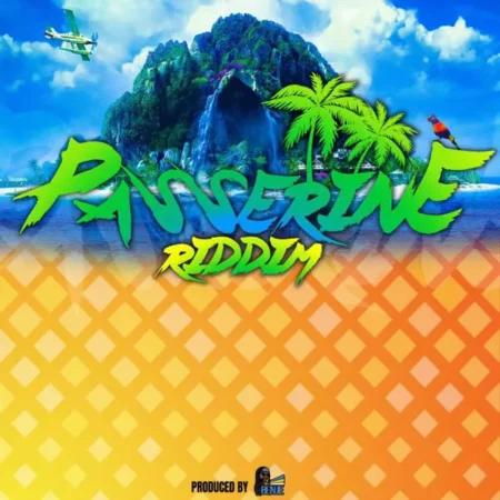 Passerine Riddim – Benje Music passerine riddim - benje music