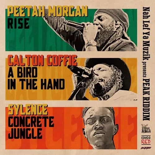 peak riddim - nah lef ya muzik