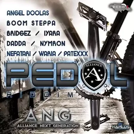 Pedal Riddim - Echo 1 Productions