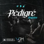 Pdigr Riddim – VGM Production