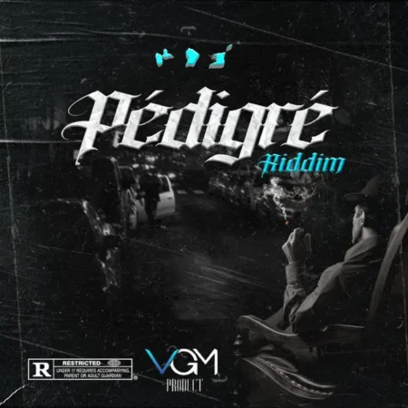 pédigré riddim -  vgm production