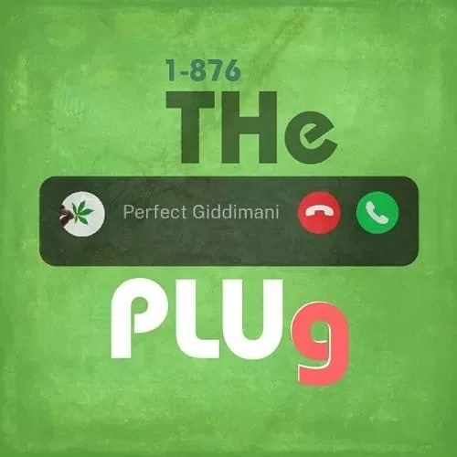 perfect giddimani - 1-876 the plug