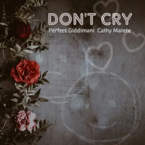 perfect giddimani & cathy matete - don't cry