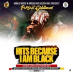 Perfect Giddimani Mixtape – DJ Nature Won