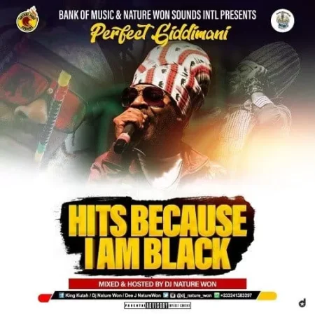 perfect giddimani mixtape - dj nature won