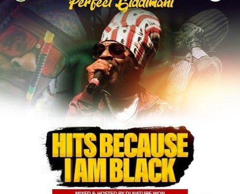 Perfect Giddimani Mixtape Dj Nature Won