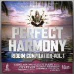Perfect Harmony Riddim – Partillo Productions