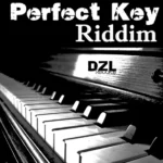 Perfect Key Riddim – Dzl Records