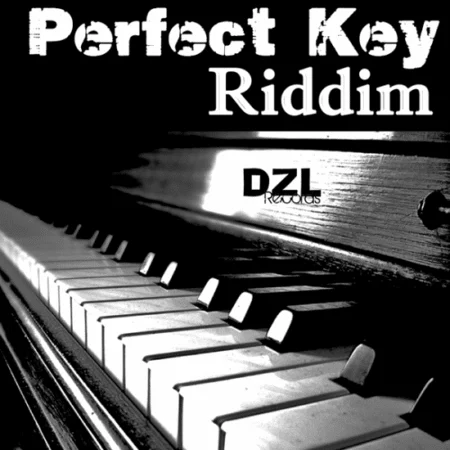 perfect-key-riddim